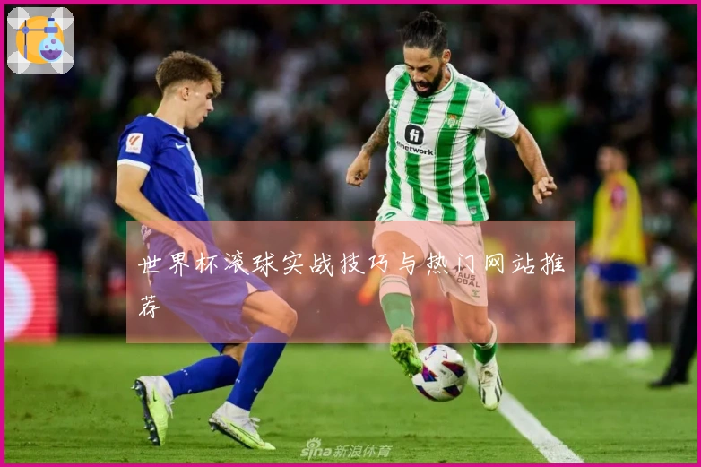 世界杯滚球实战技巧与热门网站推荐