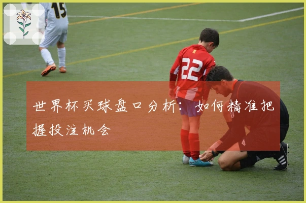 世界杯买球盘口分析：如何精准把握投注机会