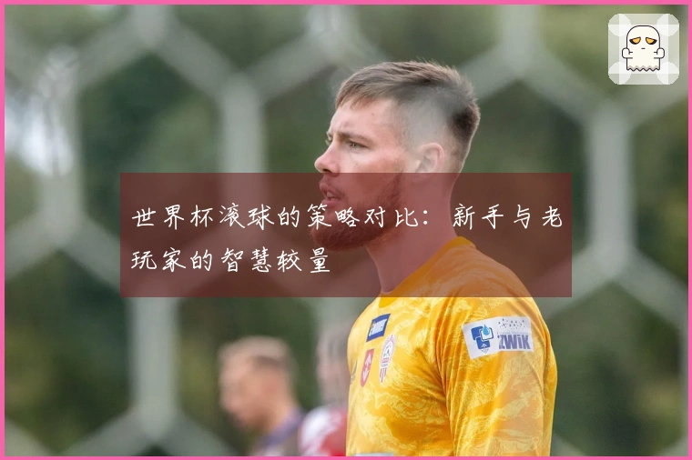 世界杯滚球的策略对比：新手与老玩家的智慧较量