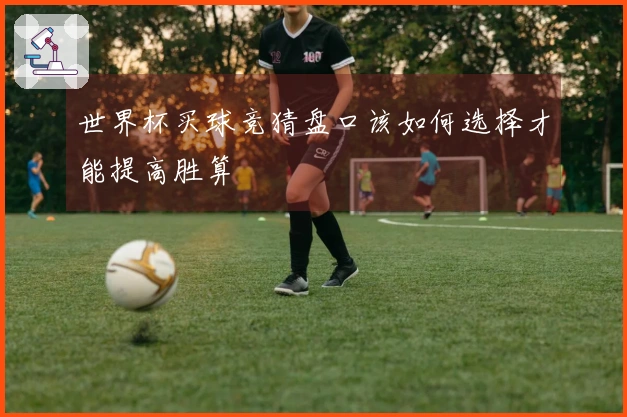 世界杯买球竞猜盘口该如何选择才能提高胜算