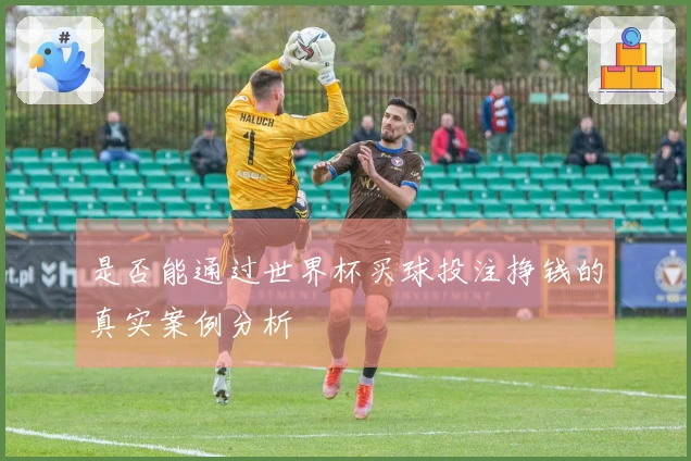 是否能通过世界杯买球投注挣钱的真实案例分析