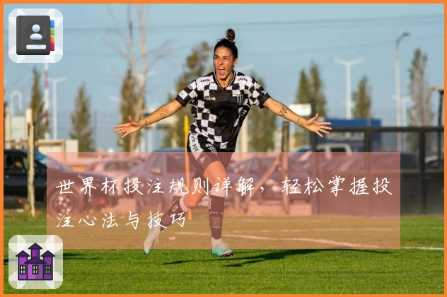 世界杯投注规则详解，轻松掌握投注心法与技巧