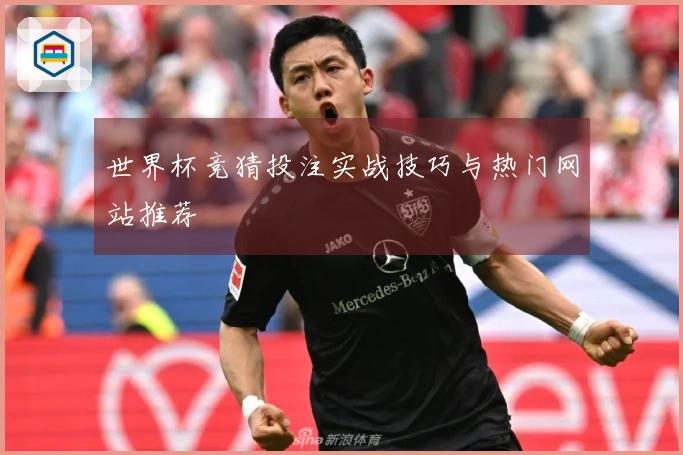 世界杯竞猜投注实战技巧与热门网站推荐