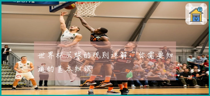 世界杯买球的规则详解，你需要知道的基本知识