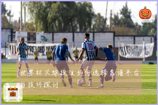 世界杯买球投注如何选择靠谱平台与技巧探讨