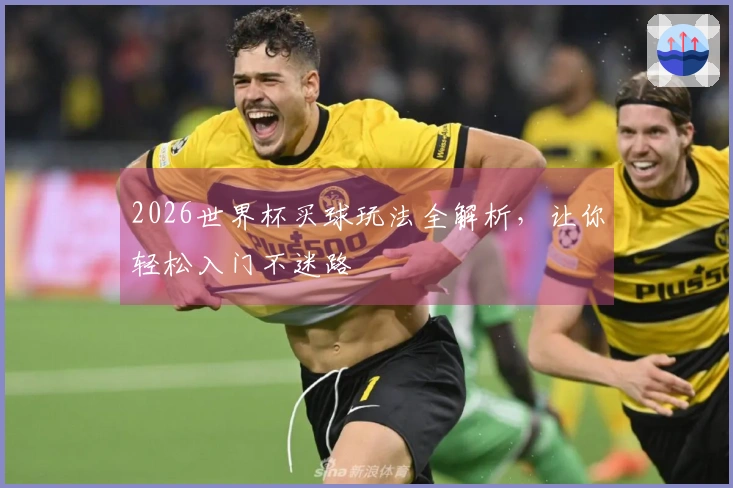 2026世界杯买球玩法全解析，让你轻松入门不迷路