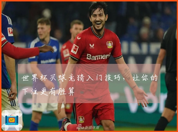 世界杯买球竞猜入门技巧，让你的下注更有胜算