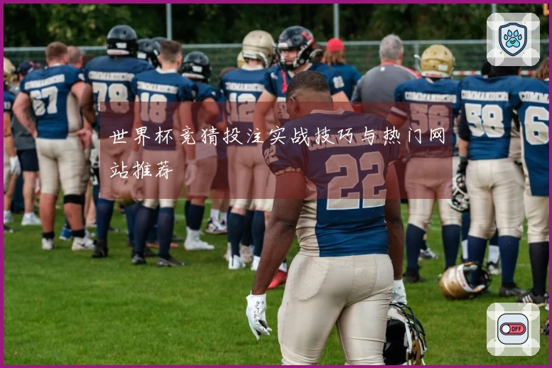 世界杯竞猜投注实战技巧与热门网站推荐