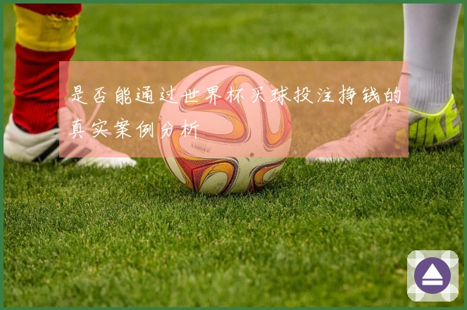 是否能通过世界杯买球投注挣钱的真实案例分析