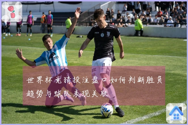 世界杯竞猜投注盘口如何判断胜负趋势与球队表现关联