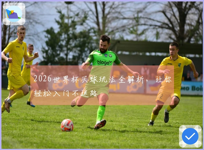 2026世界杯买球玩法全解析，让你轻松入门不迷路