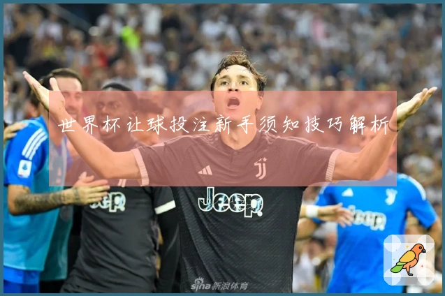 世界杯让球投注新手须知技巧解析