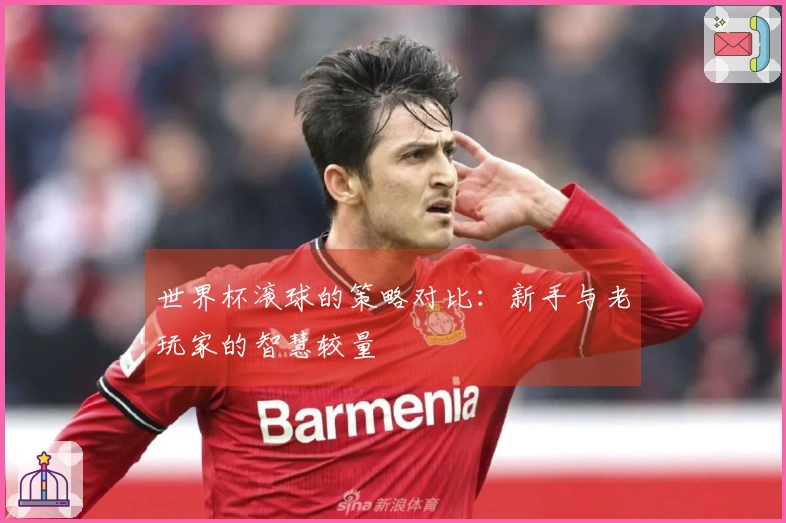 世界杯滚球的策略对比：新手与老玩家的智慧较量