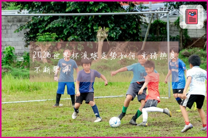 2026世界杯滚球走势如何 竞猜热度不断攀升