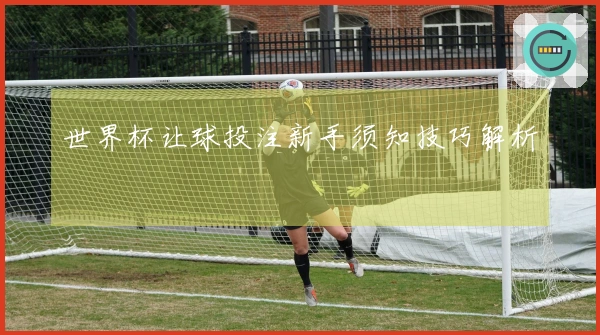 世界杯让球投注新手须知技巧解析