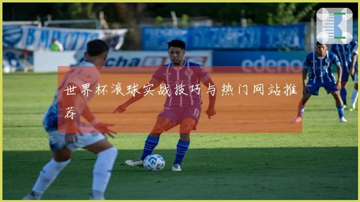 世界杯滚球实战技巧与热门网站推荐