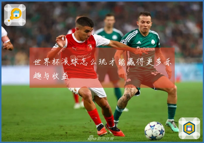 世界杯滚球怎么玩才能赢得更多乐趣与收益