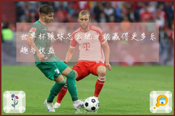 世界杯滚球怎么玩才能赢得更多乐趣与收益